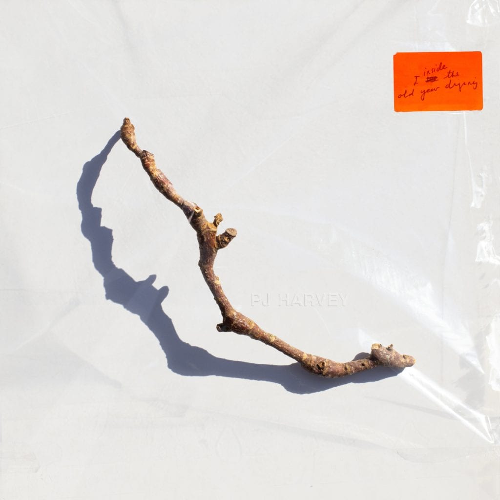 絶版 PJ Harvey 「The Hollow of the Hand」大型本 Winner: Best Vinyl Art 2023 – PJ Harvey